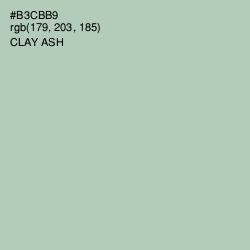 #B3CBB9 - Clay Ash Color Image